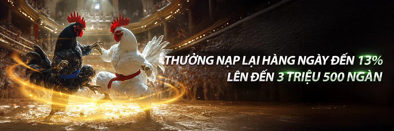 Đá Gà Thomo 16/5/2023 - Trận đấu gà kịch tính